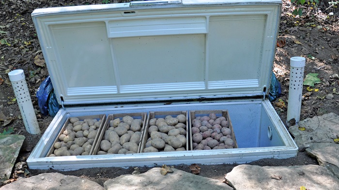 Сложите в холодильник картофель, чтобы он не замерз на улице. / Фото: mebel-gu.ru