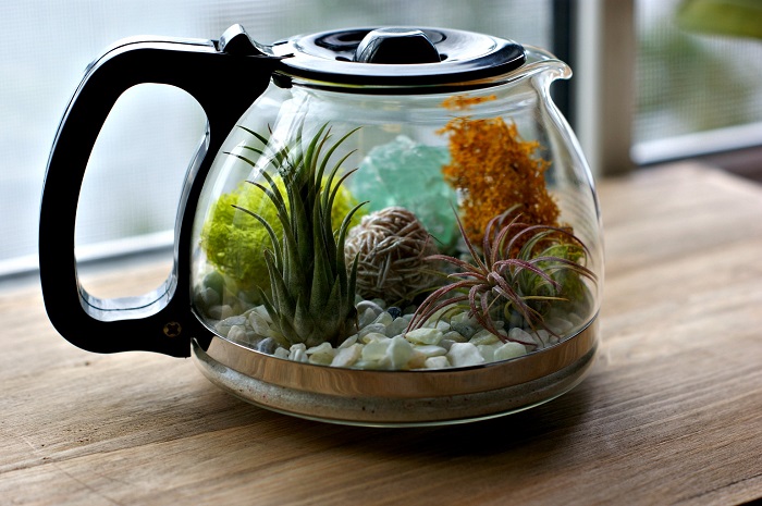 Для флорариума подходит только стеклянный чайник. / Фото: makezine.com