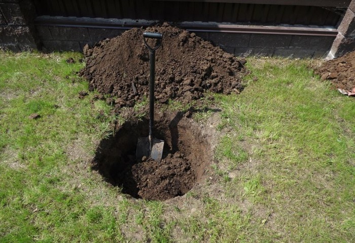 Диаметр ямы будет зависеть от возраста дерева. / Фото: grounde.ru