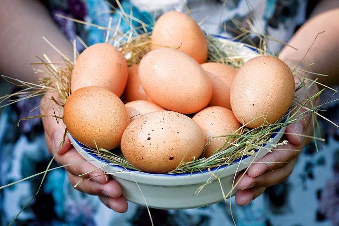 Домашние яйца лучше по качеству. / Фото: ketokotleta.ru