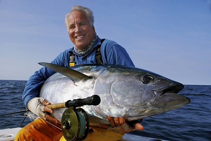 Вес голубого тунца может составлять до 450 кг. / Фото: moneyscanner.net