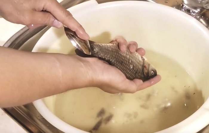 Рыбу быстрее и удобнее чистить ложкой в чашке. / Фото: activefisher.net
