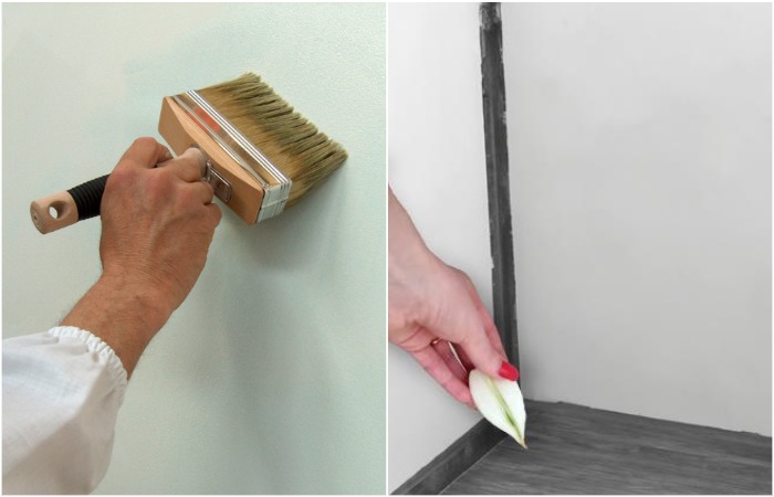 Положите по углам комнаты кусочки лука, когда будете красить стены