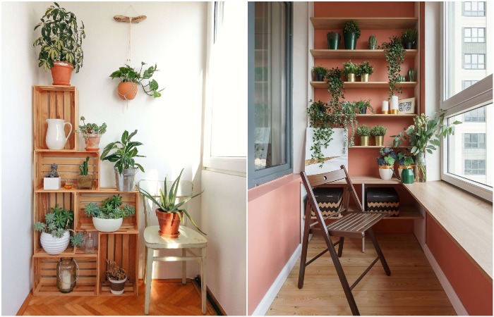 Важно, чтобы комнатным растениям подходили условия на балконе