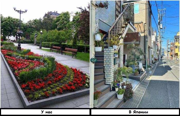 Японцы выставляют возле дома цветы, ведь у них нет скверов