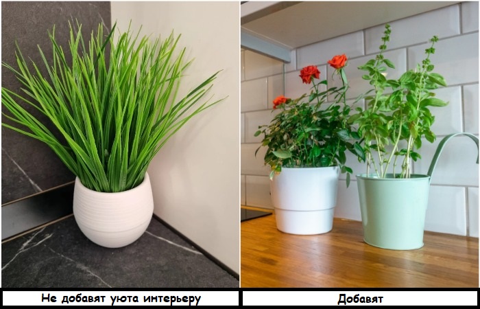 Искусственные растения не добавят уюта квартире