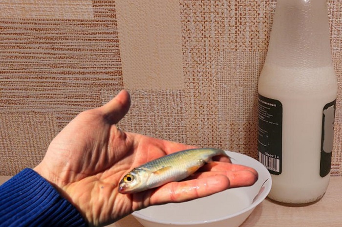 Залейте соленую рыбу молоком на несколько часов. / Изображение: дзен-канал technotion