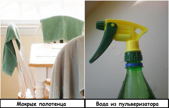 Развесьте по квартире мокрые полотенца и распылите воду из пульверизатора