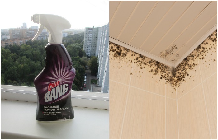 Обработайте плесень специальным спреем Обработайте плесень специальным спреем