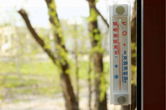 Оптимальная дневная температура для растений – до 23 градусов. / Фото: kraski-net.ru