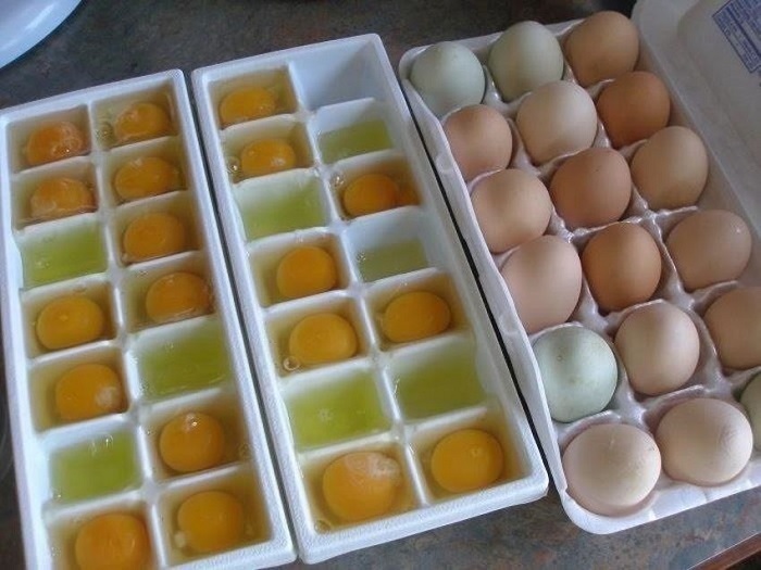 Если боитесь, что яйца пропадут, заморозьте их в формочке для льда. / Фото: today.it