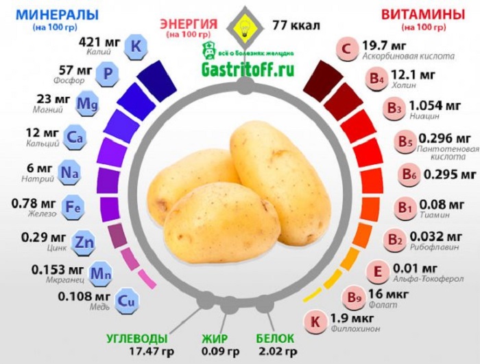 Какие витамины и микроэлементы содержатся в картофеле. / Фото: gastritoff.ru
