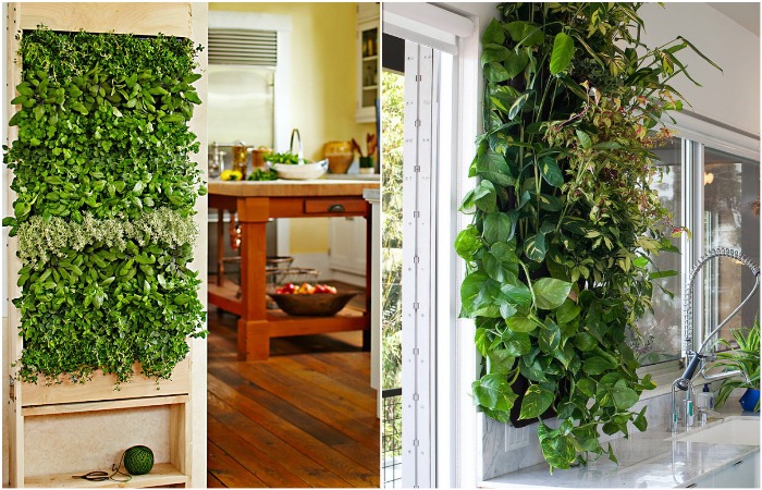 Растения добавят комнате уюта, сделают ближе к природе