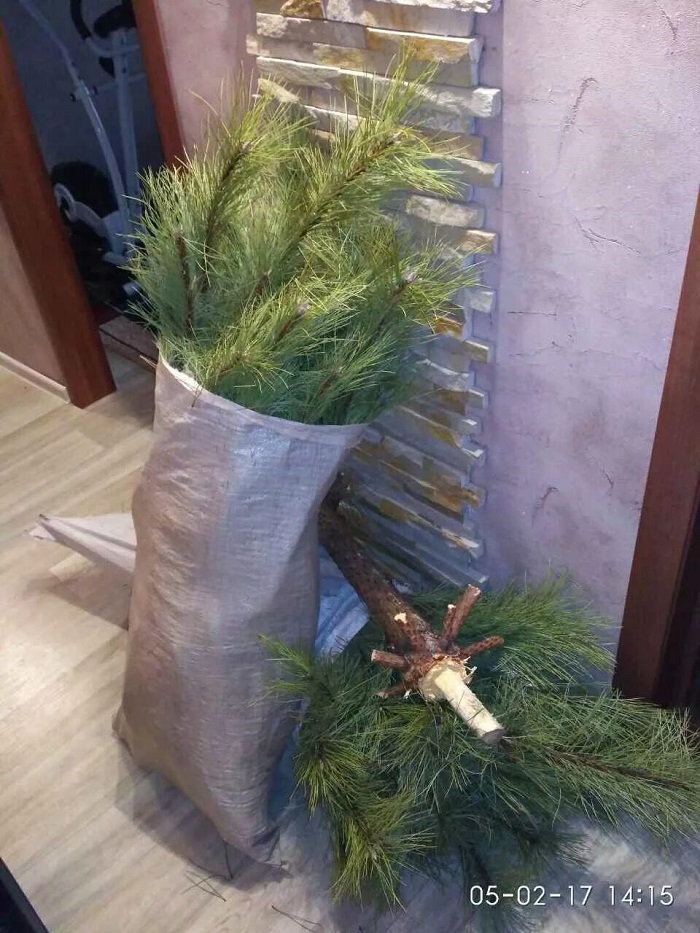 Можно распилить елку на части. / Фото: drive2.ru Можно распилить елку на части. / Фото: drive2.ru