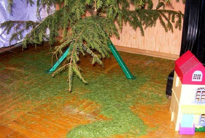 Иголки лучше сметать веником. / Фото: yaplakal.com Иголки лучше сметать веником. / Фото: yaplakal.com