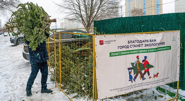 Так может выглядеть пункт приема елок. / Фото: mos.ru Так может выглядеть пункт приема елок. / Фото: mos.ru