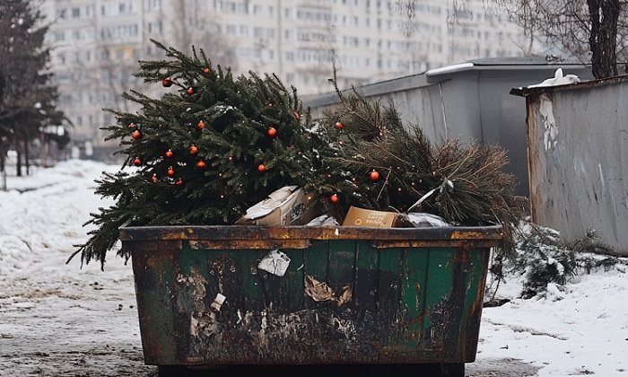 Выбросите елку в специальный бункер-контейнер. / Фото: bash.news Выбросите елку в специальный бункер-контейнер. / Фото: bash.news