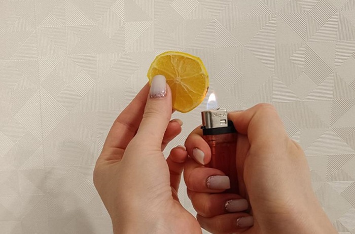 Лимон наполнит воздух цитрусовым ароматом. / Изображение: дзен-канал technotion