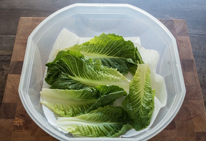 Храните листья в контейнере с бумажными полотенцами Храните листья в контейнере с бумажными полотенцами