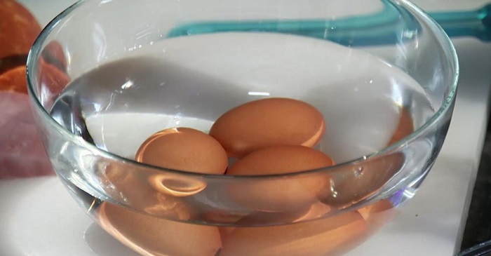 Возраст яиц можно проверить при помощи миски с водой. / Фото: legkovmeste.ru
