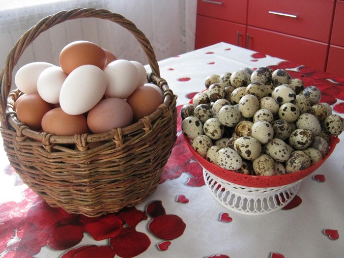 Перепелиными яйцами не стоит заменять куриные. / Фото: agronomu.com