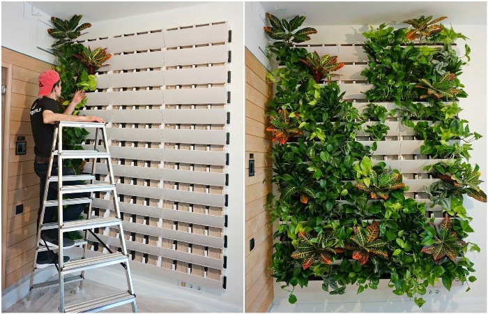Для живой стены из растений нужна основа