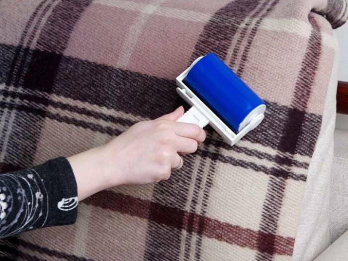 Липкий ролик помогает убрать шерсть с мебели. / Фото: mayasakura.ru