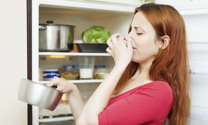 Причиной запаха в холодильнике может быть пропавшее блюдо. / Фото: freelancehack.ru