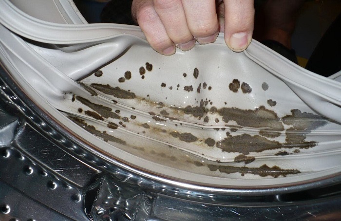 Плесень на уплотнительной резинке стиральной машины может вызвать запах. / Фото: severdv.ru