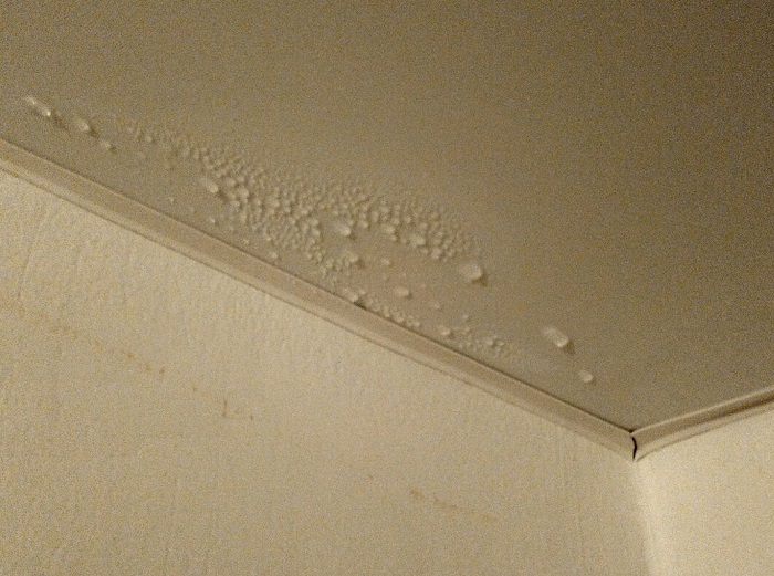 Если на потолке есть конденсат, значит, в комнате повышенный уровень влажности. / Фото: m.nn.ru