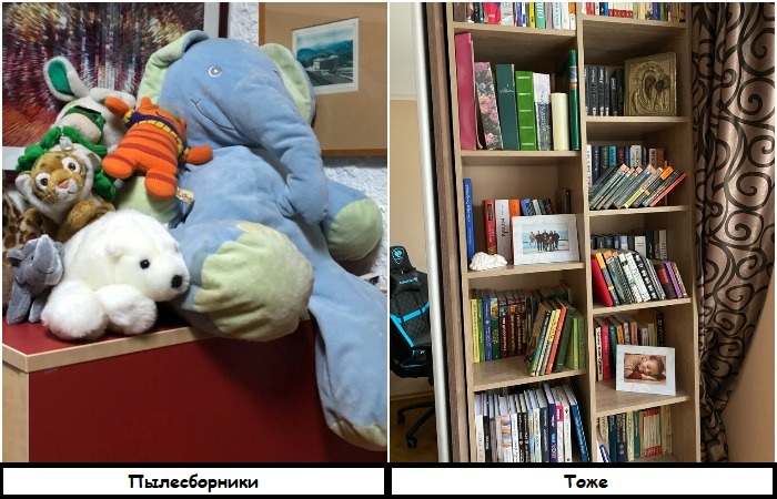 И книги, и мягкие игрушки – это пылесборник