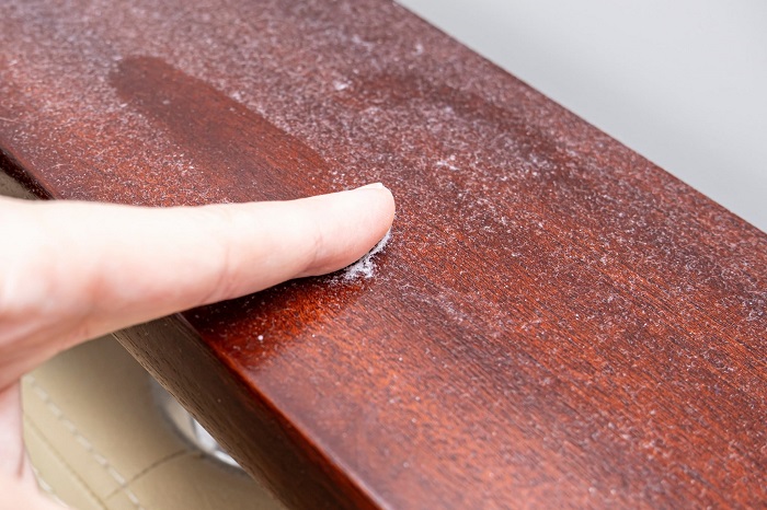 Фото: stock.adobe.com