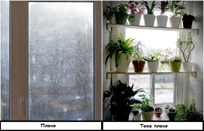 Чаще мойте окна и освобождайте подоконники от цветов Чаще мойте окна и освобождайте подоконники от цветов