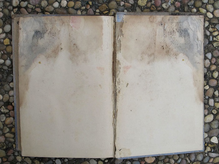 Из-за потопа на страницах книг часто появлялась плесень. / Фото: rikki-t-tavi.livejournal.com