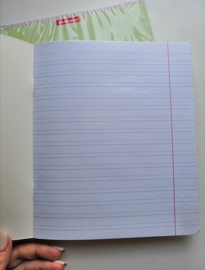 В школьных тетрадях обязательно есть поля. / Фото: tatmedia.ru