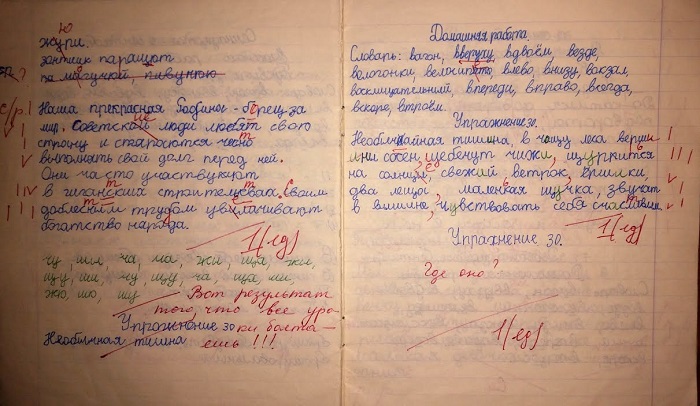 Учителя оставляют на полях пометки. / Фото: vogazeta.ru