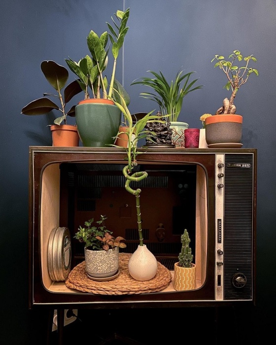 Из телевизора получится отличная полка для растений. / Фото: pinterest.com
