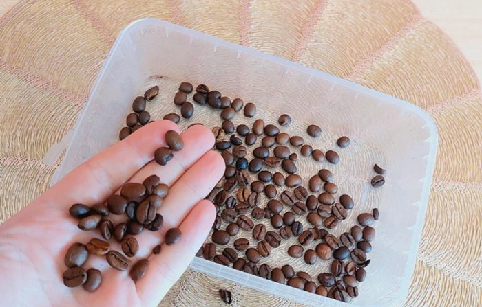 Положите кофейные зерна в пластиковый контейнер. / Изображение: дзен-канал technotion
