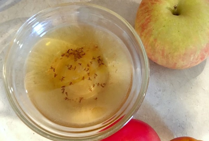 Налейте в миску яблочный уксус