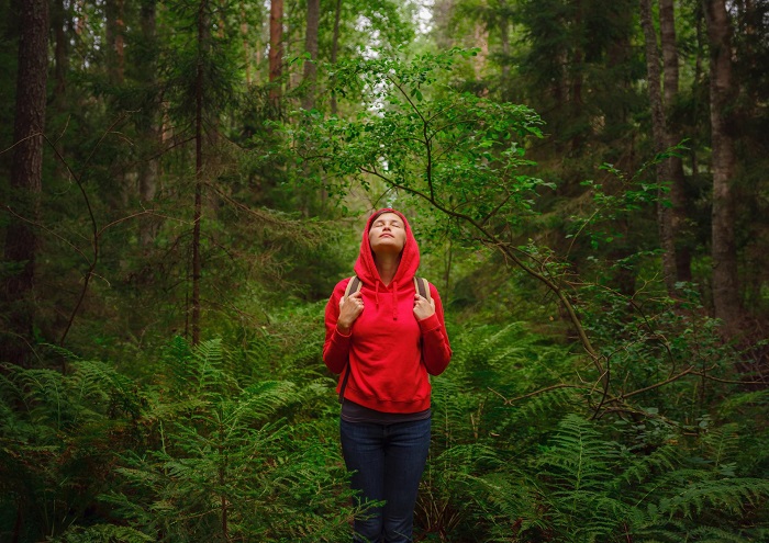 Лес помогает снизить уровень стресса