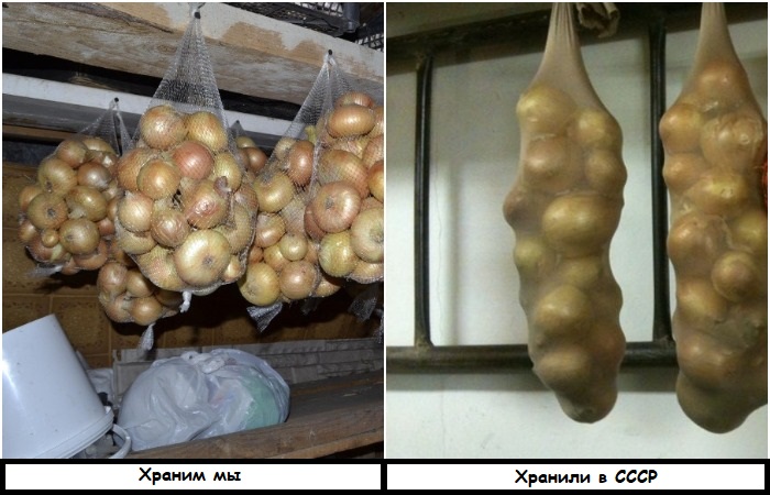 Мы храним лук в сетках, а в СССР использовали капроновые колготки