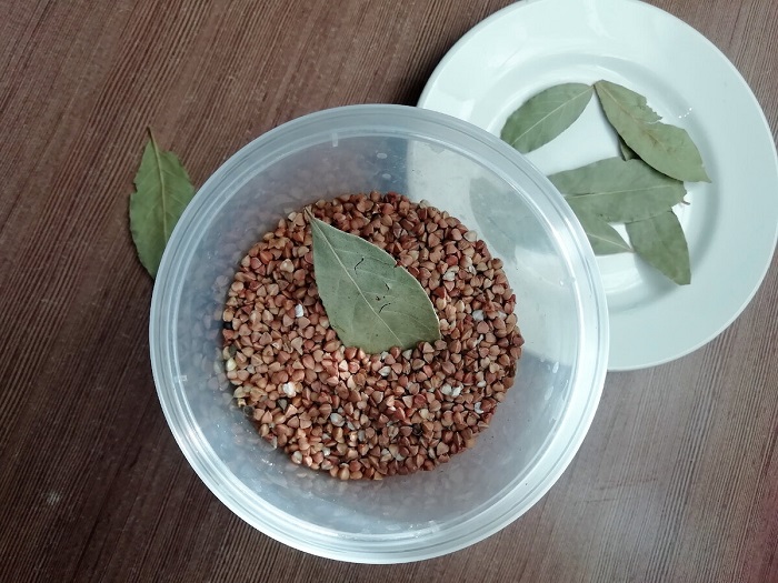 Положите в банку с гречкой лавровый лист