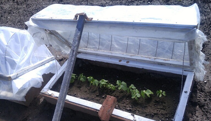 Накройте парник подходящим материалом