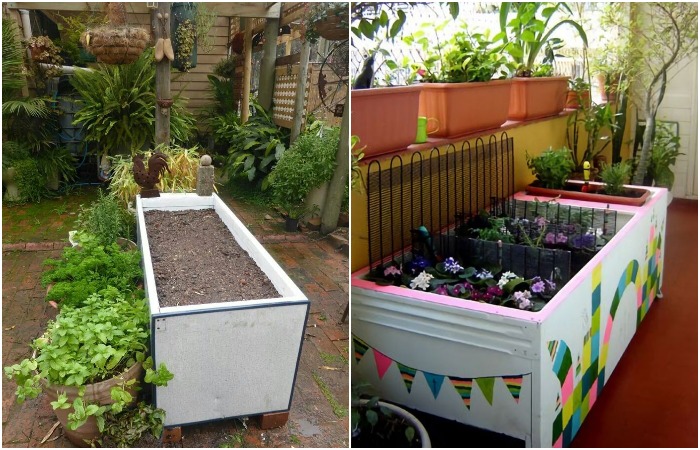 Поливайте землю и скоро вырастут цветы