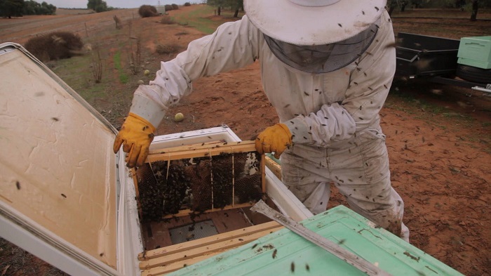 Не слишком эстетично, зато практично