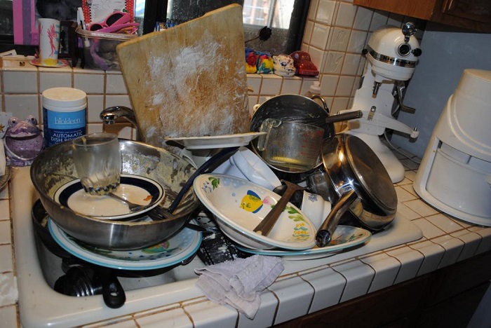 Когда долго накапливаете грязную посуду. / Фото: stranabolgariya.ru
