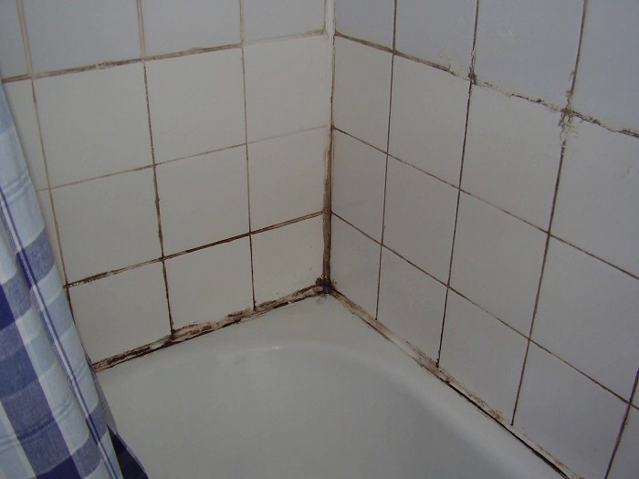 Грибок между плитками в ванной комнате. / Фото: grizun-off.ru