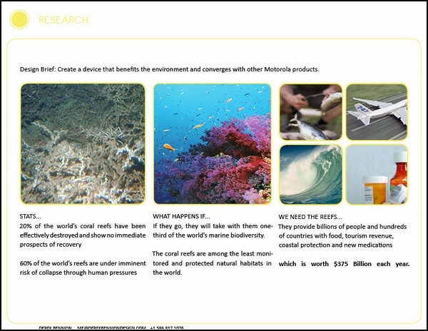 Коралловые рифы нужно спасать: смотритель рифовых заповедников Coral RASA