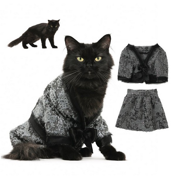 Коллекция «человеческой» одежды для кошек Catclub от United Bamboo