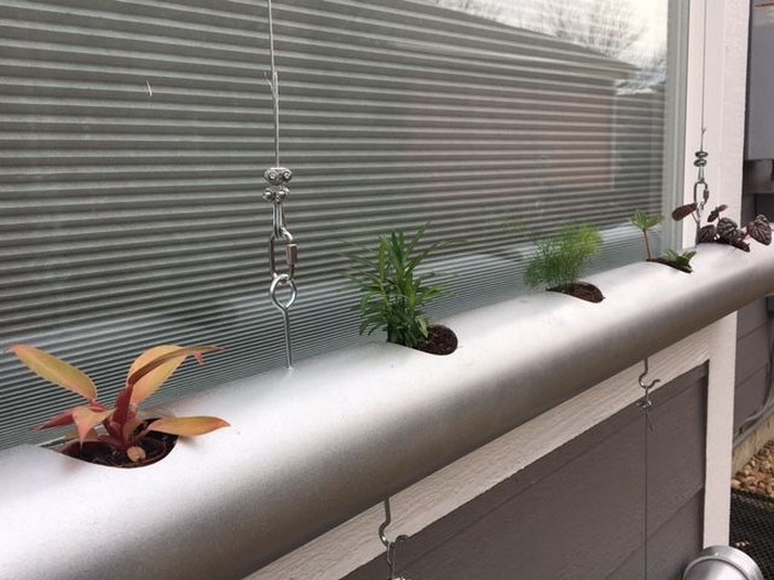 Как сделать подвесной сад для комнатных растений, который впишется в любой интерьер